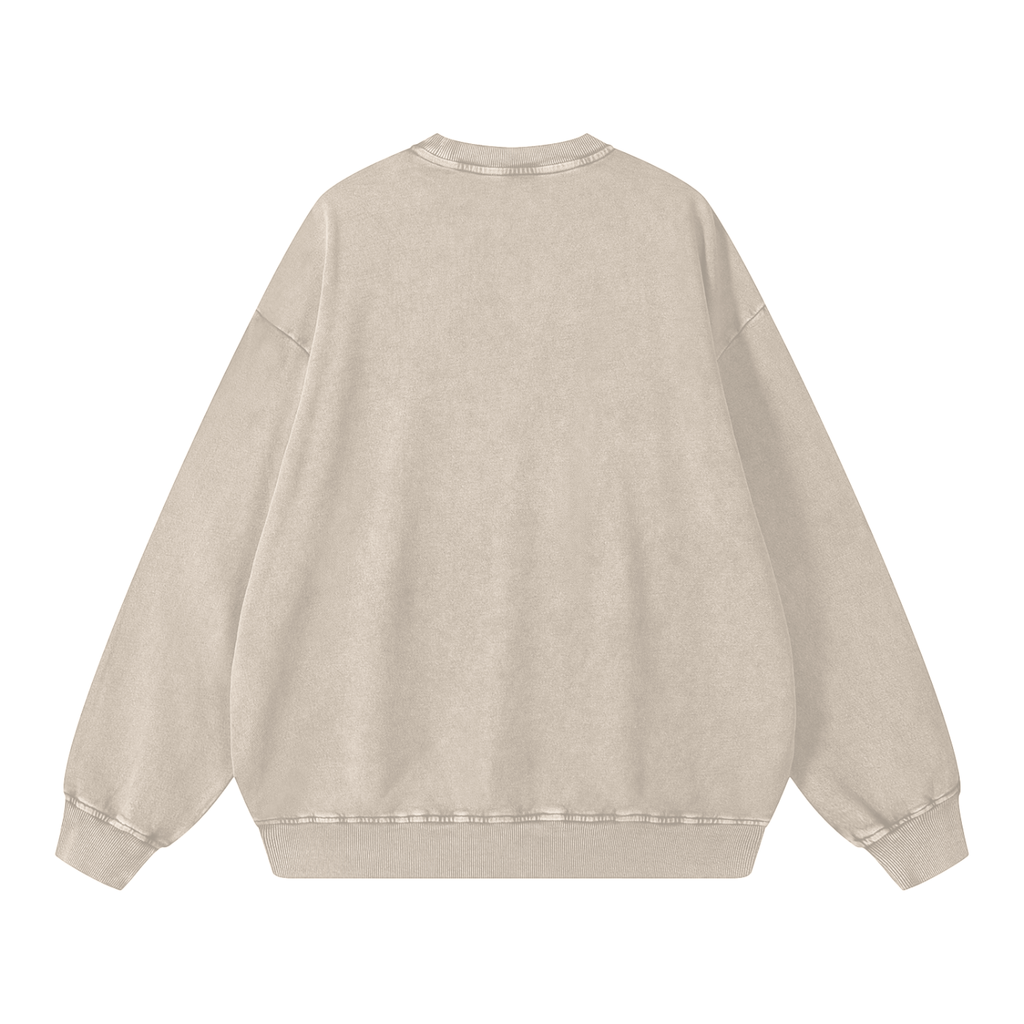 Snow Washed Oversized Sweatshirt